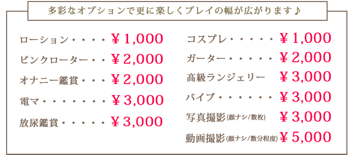 各種オプション料金表